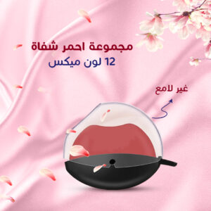 • مجموعة احمر شفاه غير لامع 12 لون ميكس