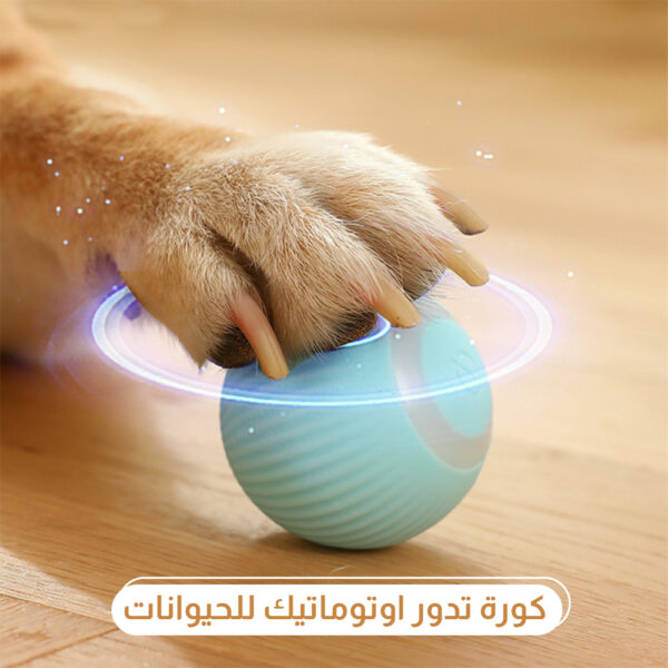 ⁦• كورة تدور اوتوماتيك للحيوانات⁩ - الصورة ⁦4⁩