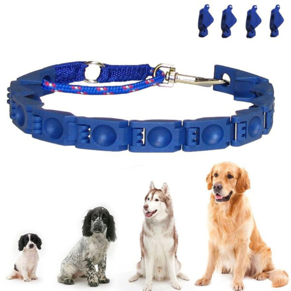 ⁦طوق الكلاب التعليمي Command collar⁩ - الصورة ⁦2⁩