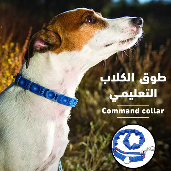 ⁦طوق الكلاب التعليمي Command collar⁩ - الصورة ⁦7⁩