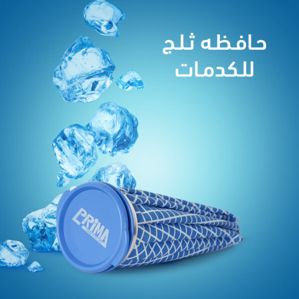 ⁦حافظه تلج للكدمات⁩ - الصورة ⁦6⁩