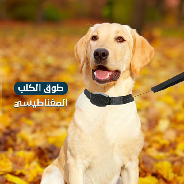 ⁦طوق الكلب المغناطيسي⁩ - الصورة ⁦5⁩