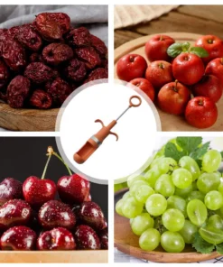 مزيل بذور التمر والفواكه