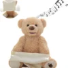 cuddle peek bear | دبدوب الغميضة اللطيف