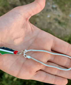 عرض سلسلة و أنسيال فلسطين