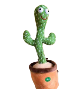 الصبارة الراقصة