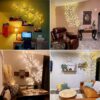 • فرع نور غصن شجره WARM