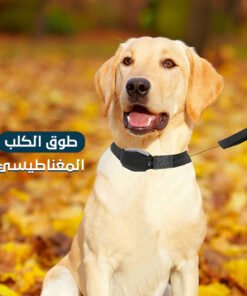طوق الكلب المغناطيسي
