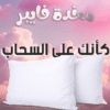 قطعتين مخدة فايبر 500 gm