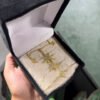 طقم ستانليس نجمة OZ2 ( مخزن OZ )