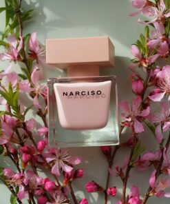Narciso Poudree (مخزن H4)